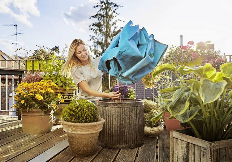 Produktbild: GARDENA CityGardening 00508-20 Formschnittmatte