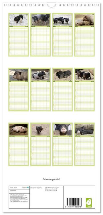 Produktbild: Familienplaner 2026 - Schwein gehabt! mit 5 Spalten (Wandkalender, 21 x 45 cm) CALVENDO