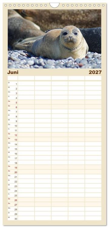 Produktbild: Familienplaner 2027 - Das Leben der Robben mit 5 Spalten (Wandkalender, 21 x 45 cm) CALVENDO