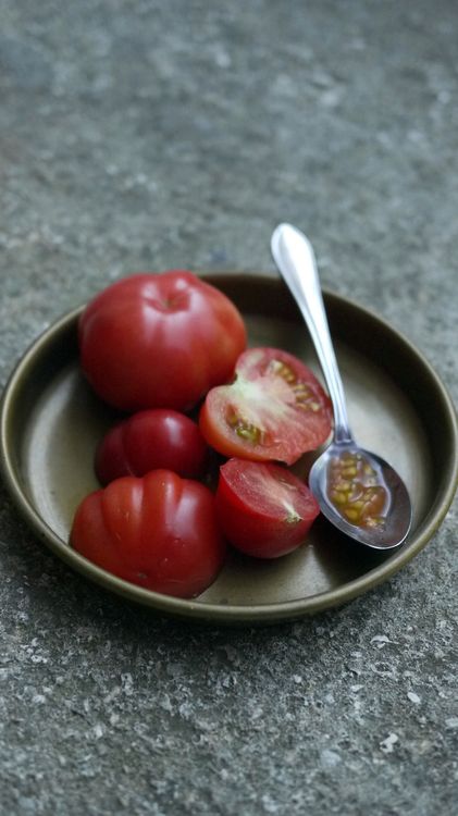 "BioGärtnern am Fensterbrett" online kaufen