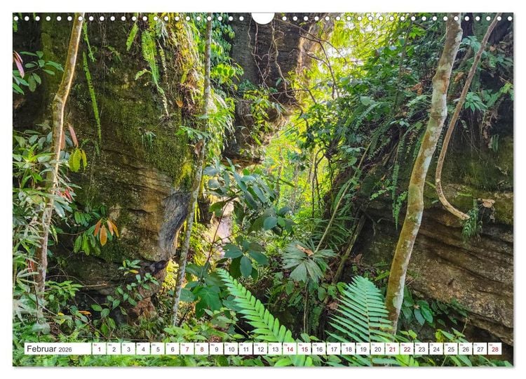 Produktbild: Gunung Leuser Nationalpark Sumatra (Wandkalender 2026 DIN A3 quer), CALVENDO Monatskalender