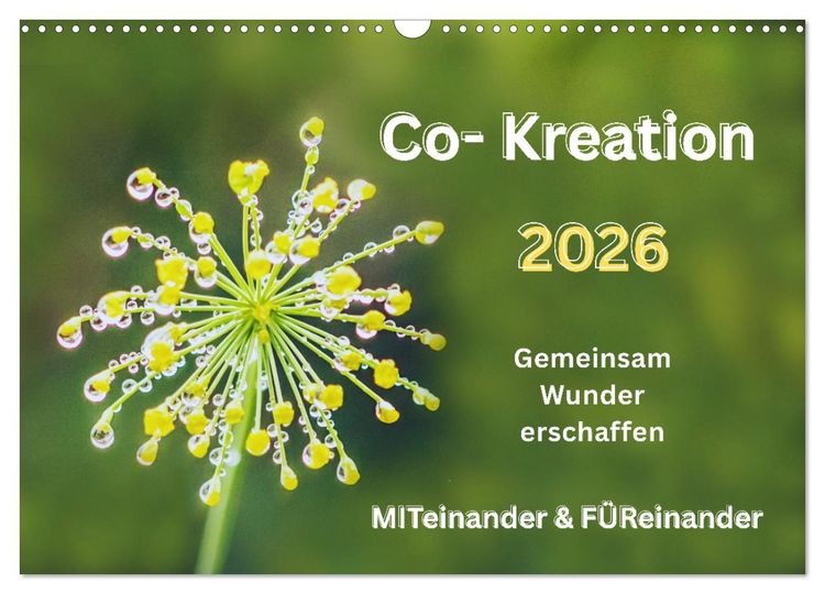 Produktbild: Co-Kreation, Gemeinsam Wunder erschaffen (Wandkalender 2026 DIN A3 quer), CALVENDO Monatskalender