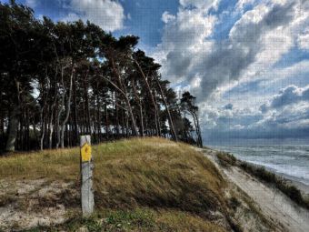 Produktbild: CALVENDO Puzzle Der Wald mit seinen charakteristischen B&auml;umen reicht bis hinunter an den Strand | 1000 Teile Lege-Gr&ouml;&szlig;e 64x48cm Foto-Puzzle f&uuml;r gl&uuml;ckl