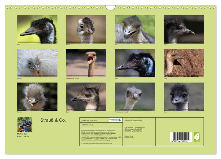 Produktbild: Strau&szlig; & Co. (Wandkalender 2027 DIN A3 quer), CALVENDO Monatskalender