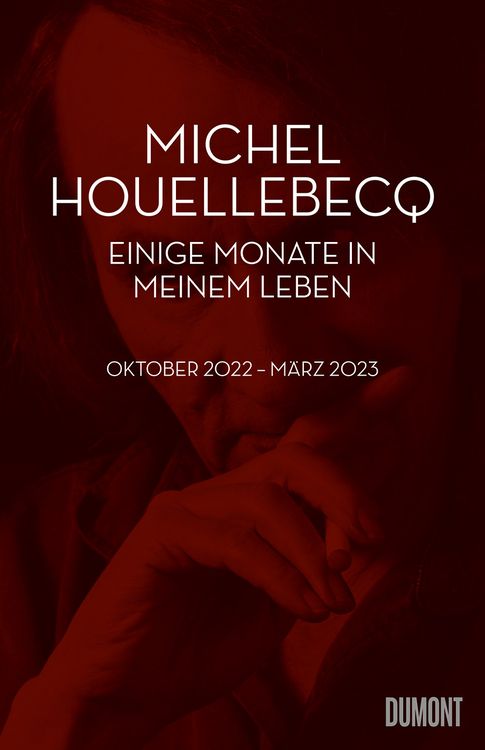 Produktbild: Einige Monate in meinem Leben