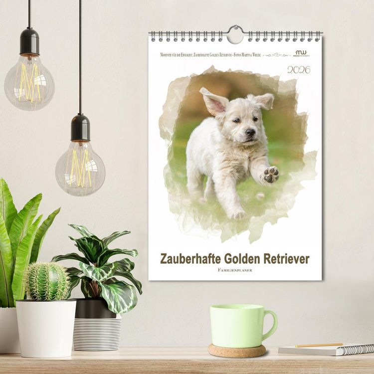 Produktbild: Zauberhafte Golden Retriever (Wandkalender 2026 DIN A4 hoch), CALVENDO Monatskalender