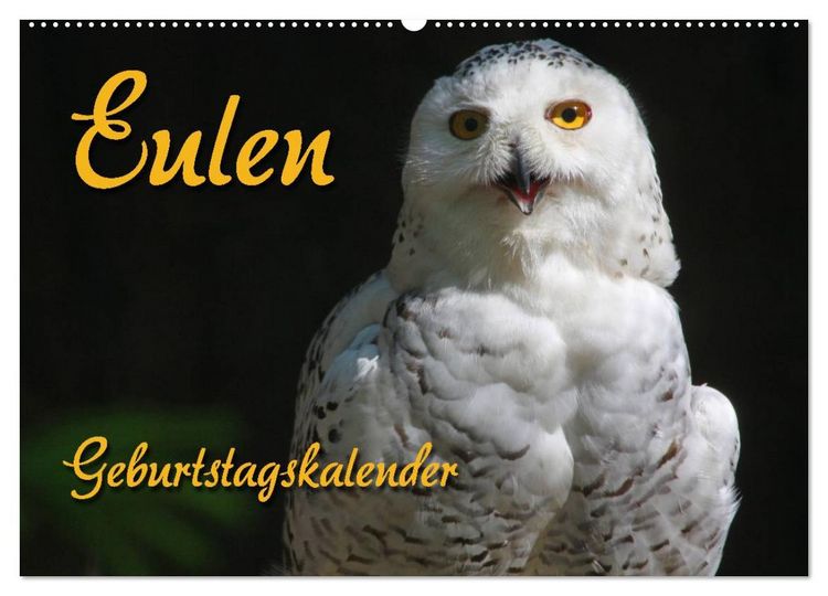 Produktbild: Eulen (Wandkalender 2026 DIN A2 quer), CALVENDO Monatskalender
