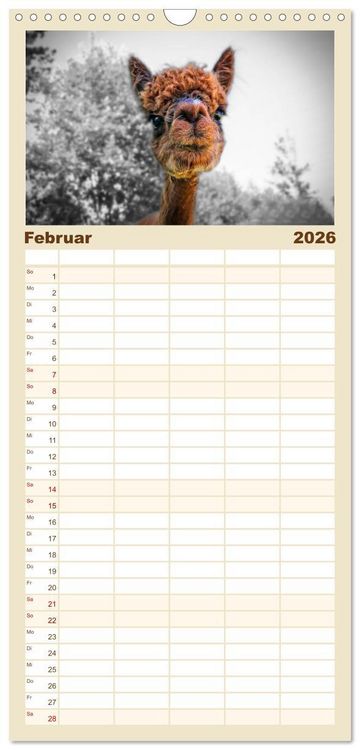 Produktbild: Familienplaner 2026 - Alpaka Gesichter mit 5 Spalten (Wandkalender, 21 x 45 cm) CALVENDO