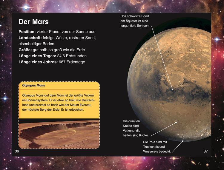 Produktbild: SUPERLESER! Kennenlern-Paket (8 B&auml;nde)