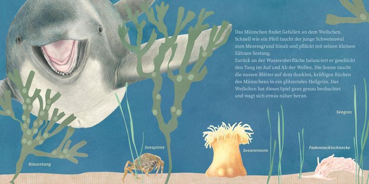 Produktbild: LESEMAUS 135: Der kleine Wal und das Meer