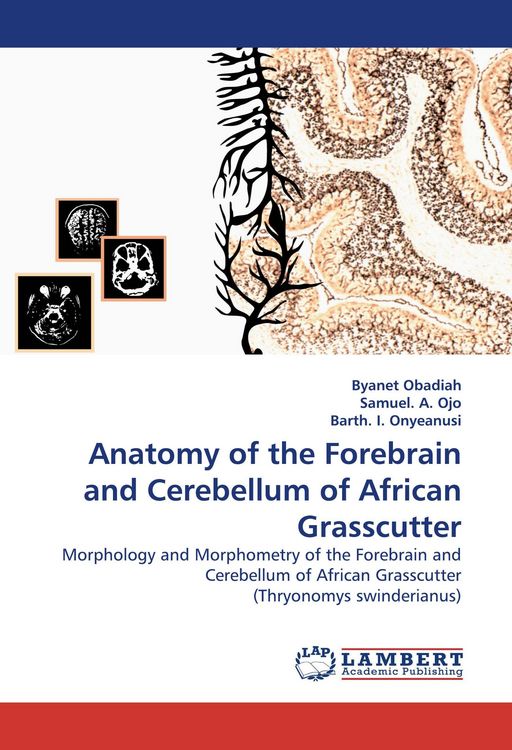 Produktbild: Anatomy of the Forebrain and Cerebellum of African Grasscutter