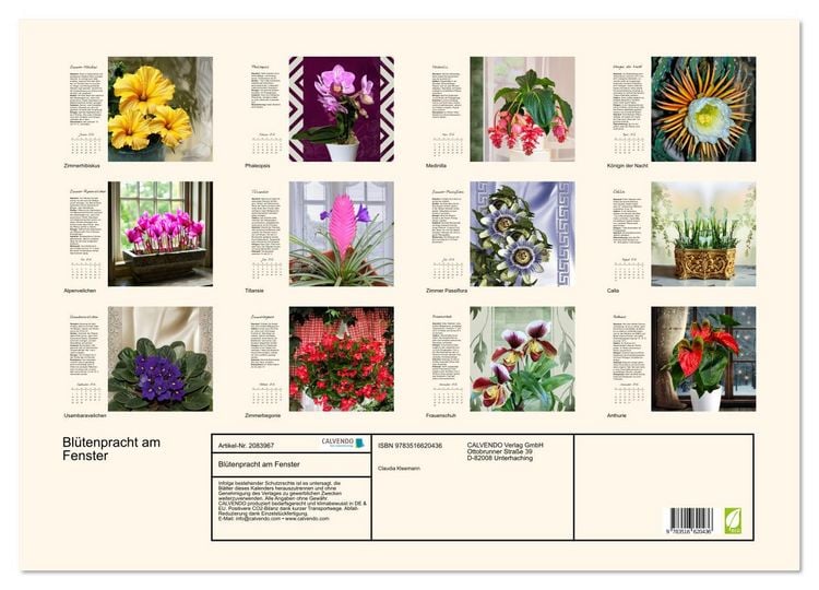 Produktbild: Bl&uuml;tenpracht am Fenster (Wandkalender 2026 DIN A2 quer), CALVENDO Monatskalender