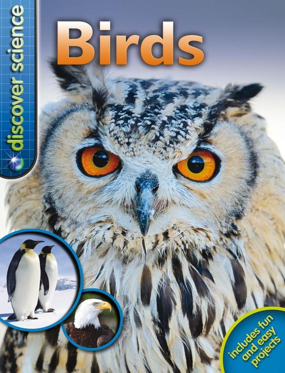 Produktbild: Davies, N: Discover Science: Birds