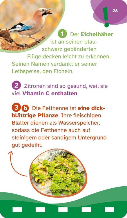 Produktbild: Was ist was Quiz Natur