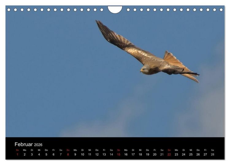 Produktbild: Wilde Heimat (Wandkalender 2026 DIN A4 quer), CALVENDO Monatskalender