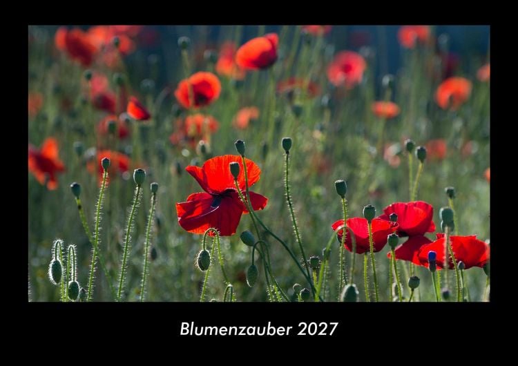 Produktbild: Blumenzauber 2027 Fotokalender DIN A3