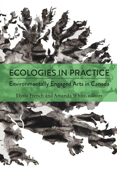 Produktbild: Ecologies in Practice