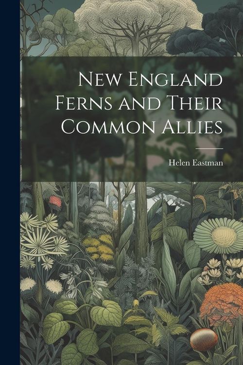 Produktbild: New England Ferns and Their Common Allies