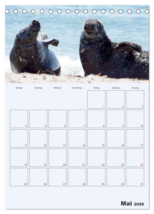 Produktbild: Wildes Leben auf Helgoland (Tischkalender 2026 DIN A5 hoch), CALVENDO Monatskalender