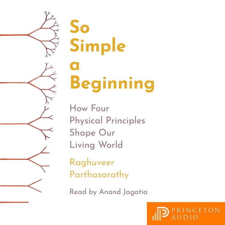 Produktbild: So Simple a Beginning