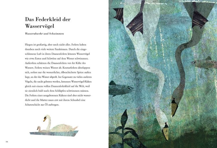 Produktbild: Die Feder