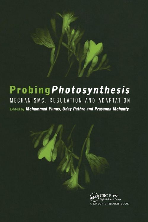 Produktbild: Probing Photosynthesis
