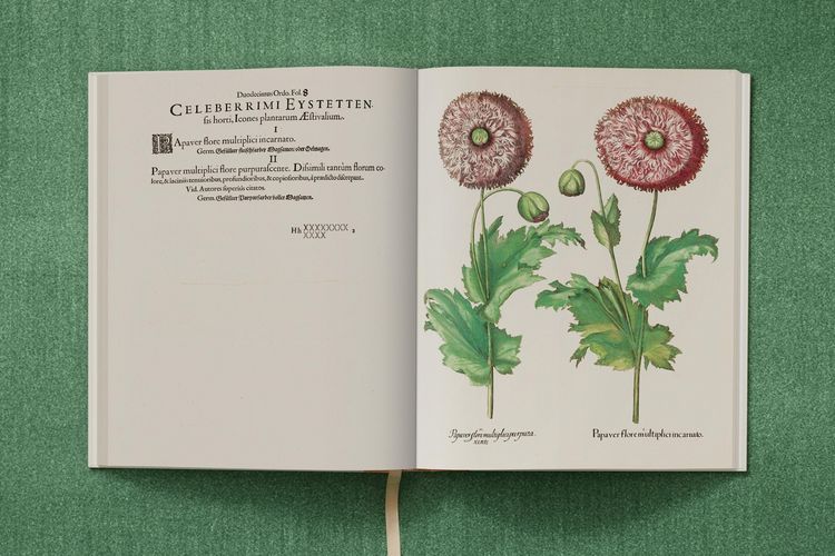 Produktbild: Basilius Besler