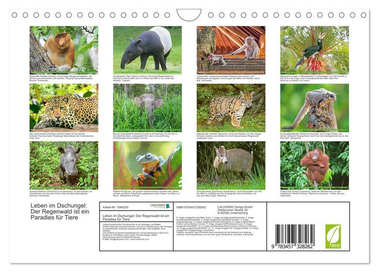 Produktbild: Leben im Dschungel: Der Regenwald ist ein Paradies f&uuml;r Tiere (Wandkalender 2026 DIN A4 quer), CALVENDO Monatskalender