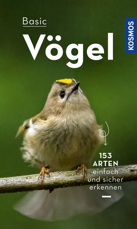 Produktbild: Basic V&ouml;gel