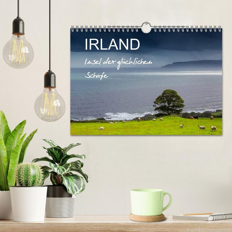 Produktbild: IRLAND - Insel der gl&uuml;cklichen Schafe (Wandkalender 2026 DIN A4 quer), CALVENDO Monatskalender