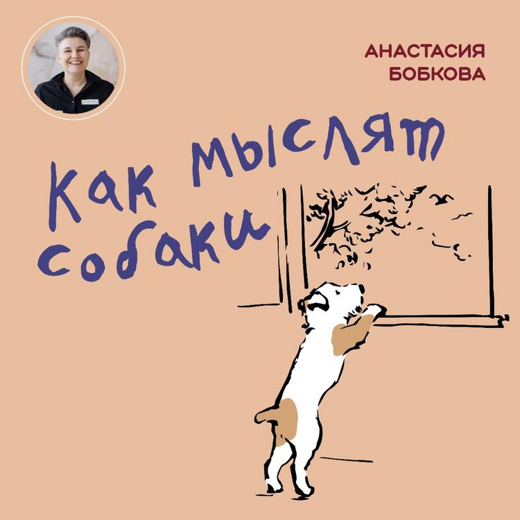 Produktbild: Kak myslyat sobaki