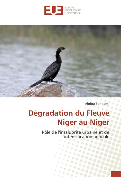 Produktbild: D&eacute;gradation du Fleuve Niger au Niger