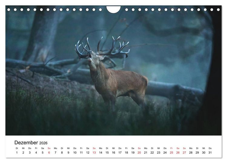 Produktbild: Unsere heimische Tierwelt (Wandkalender 2026 DIN A4 quer), CALVENDO Monatskalender