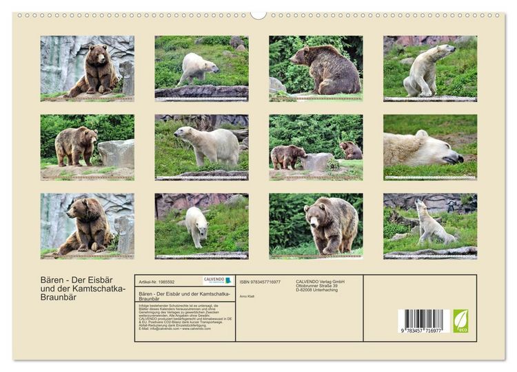Produktbild: B&auml;ren - Der Eisb&auml;r und der Kamtschatka-Braunb&auml;r (hochwertiger Premium Wandkalender 2026 DIN A2 quer), Kunstdruck in Hochglanz