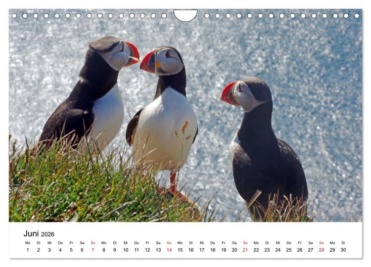 Produktbild: Norwegen 2026 - vom Fjord zum Fjell (Wandkalender 2026 DIN A4 quer), CALVENDO Monatskalender