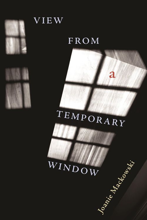 Produktbild: View from a Temporary Window
