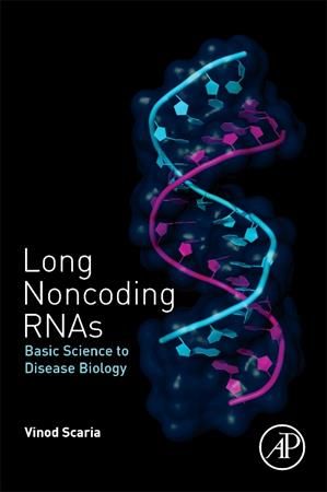 Produktbild: Scaria, V: Long Noncoding Rnas