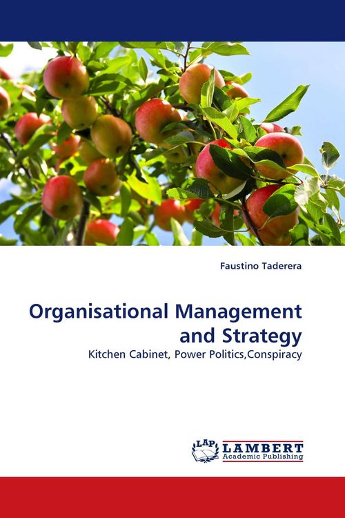 Produktbild: Organisational Management and Strategy