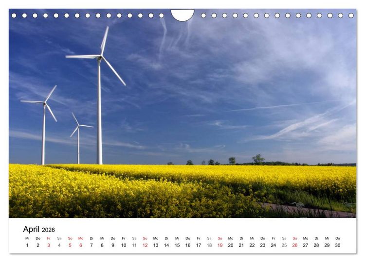 Produktbild: Rapsodie (Wandkalender 2026 DIN A4 quer), CALVENDO Monatskalender