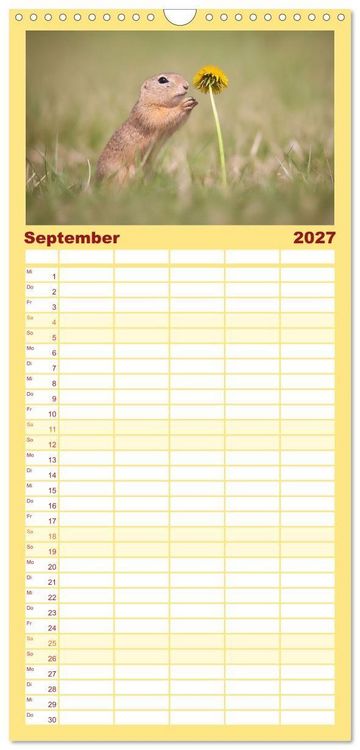 Produktbild: Familienplaner 2027 - Zauberhafte Ziesel mit 5 Spalten (Wandkalender, 21 x 45 cm) CALVENDO