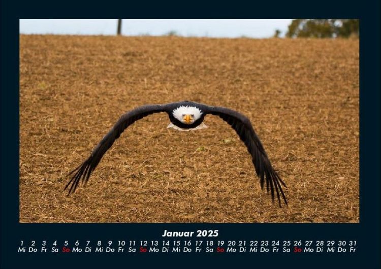 Produktbild: Adler 2025 Fotokalender DIN A4