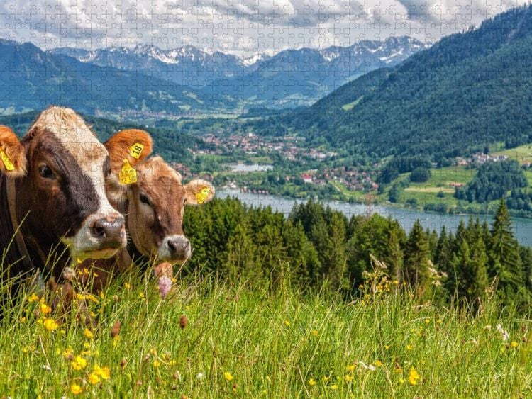 Produktbild: CALVENDO Puzzle Sicht auf den Alpsee in Immenstadt | 2000 Teile Lege-Gr&ouml;&szlig;e 90x67cm Foto-Puzzle f&uuml;r gl&uuml;ckliche Stunden