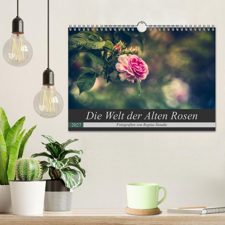 Produktbild: Die Welt der Alten Rosen (Wandkalender 2027 DIN A4 quer), CALVENDO Monatskalender