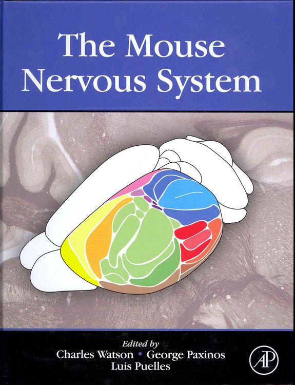 Produktbild: The Mouse Nervous System