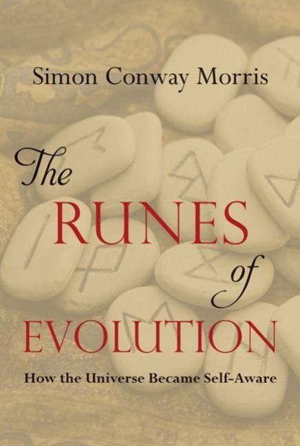 Produktbild: The Runes of Evolution