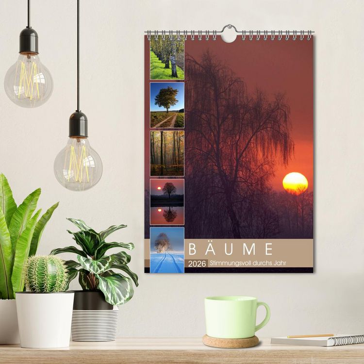 Produktbild: B&auml;ume - Stimmungsvoll durchs Jahr (Wandkalender 2026 DIN A4 hoch), CALVENDO Monatskalender
