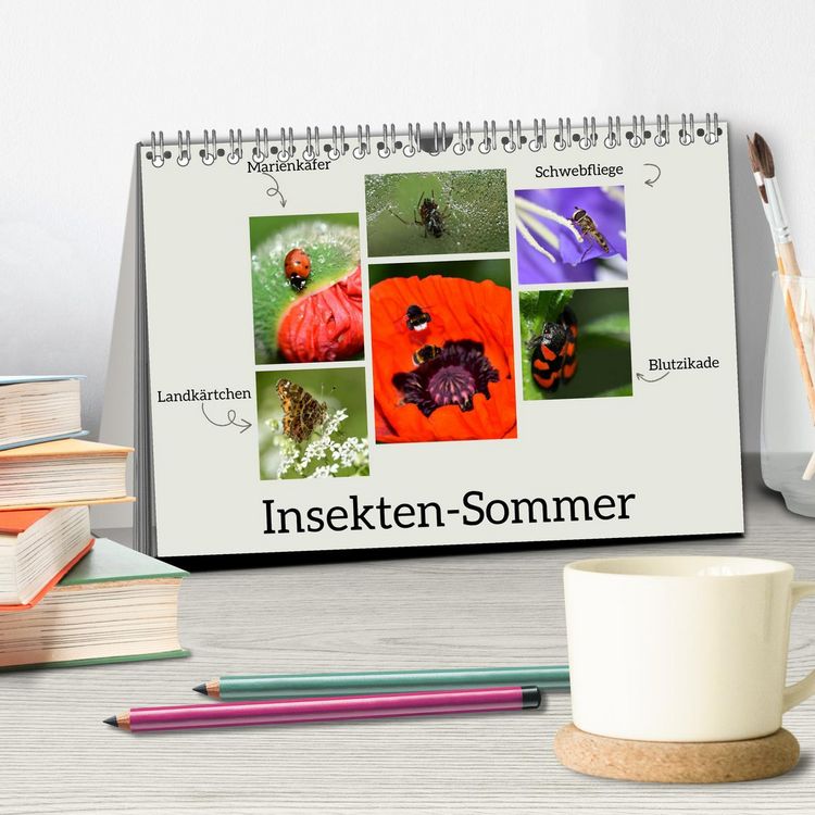 Produktbild: Insekten-Sommer (Tischkalender 2026 DIN A5 quer), CALVENDO Monatskalender