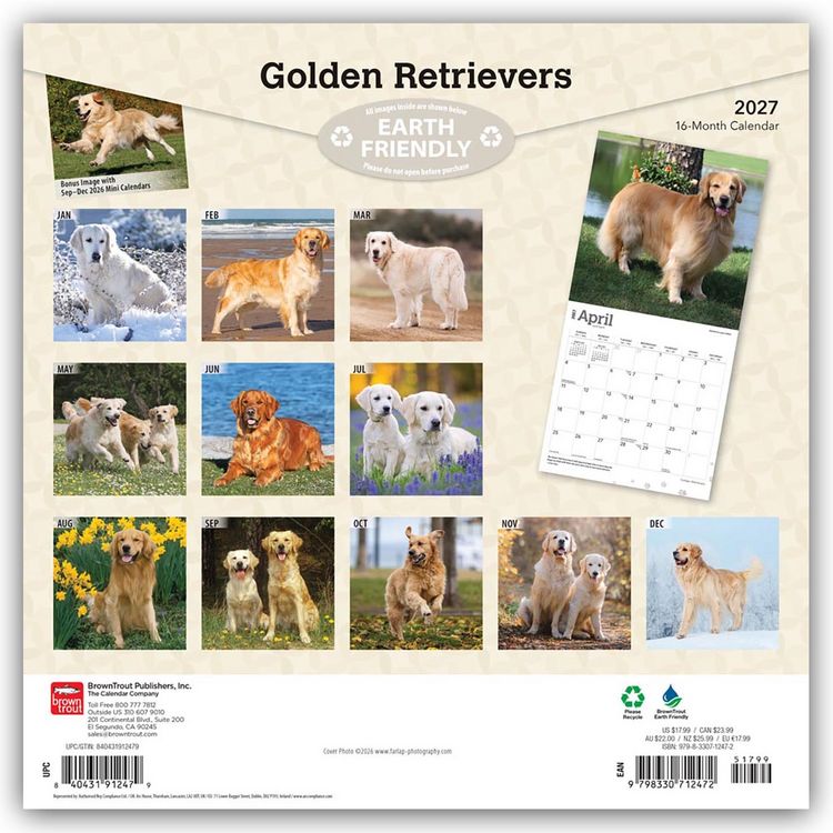 Produktbild: Golden Retrievers &ndash; Golden Retriever 2027 &ndash; 16-Monatskalender