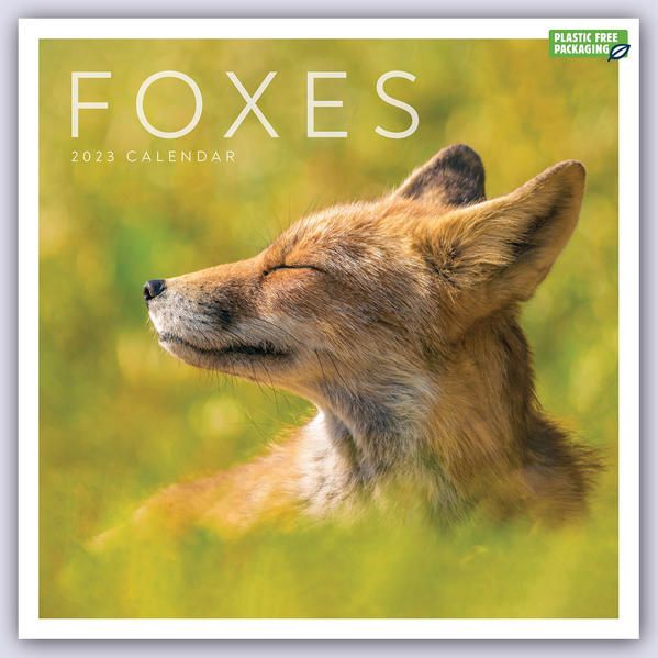 Produktbild: Foxes &ndash; F&uuml;chse 2023