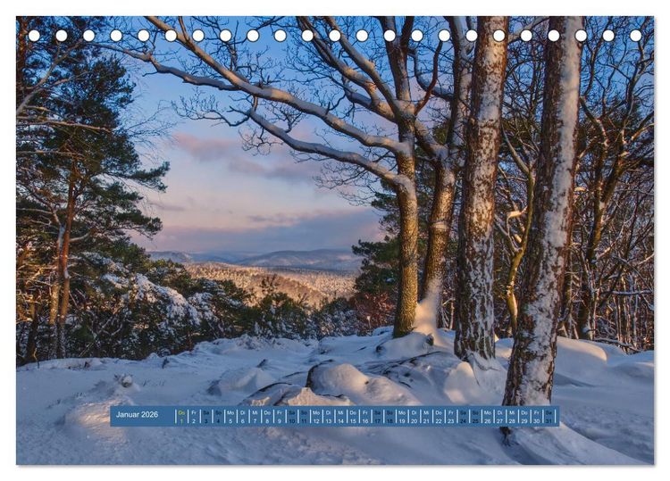 Produktbild: Magischer Pf&auml;lzer Wald (Tischkalender 2026 DIN A5 quer), CALVENDO Monatskalender